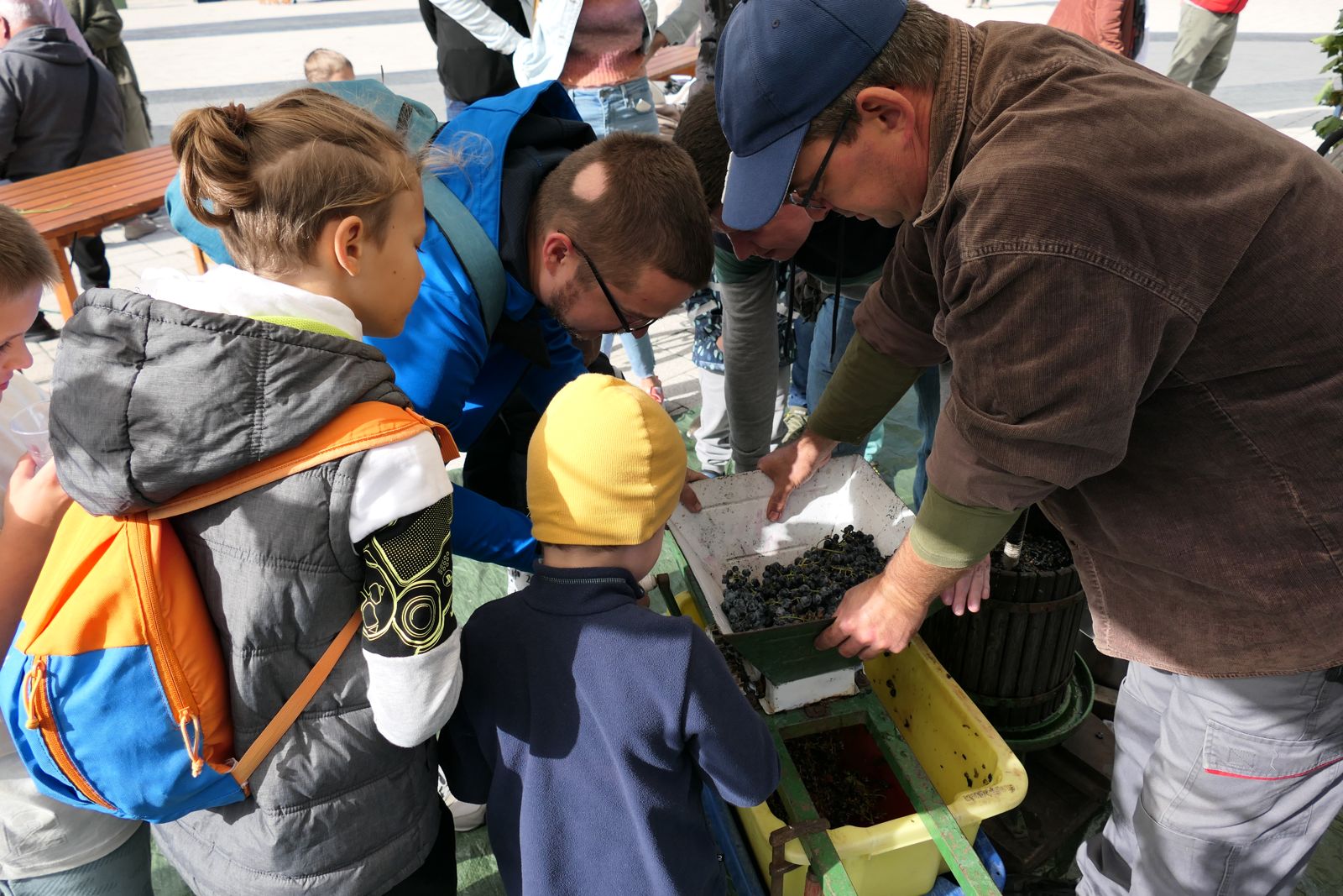 Tökjó Szüreti Fesztivál Martonvásáron (5)