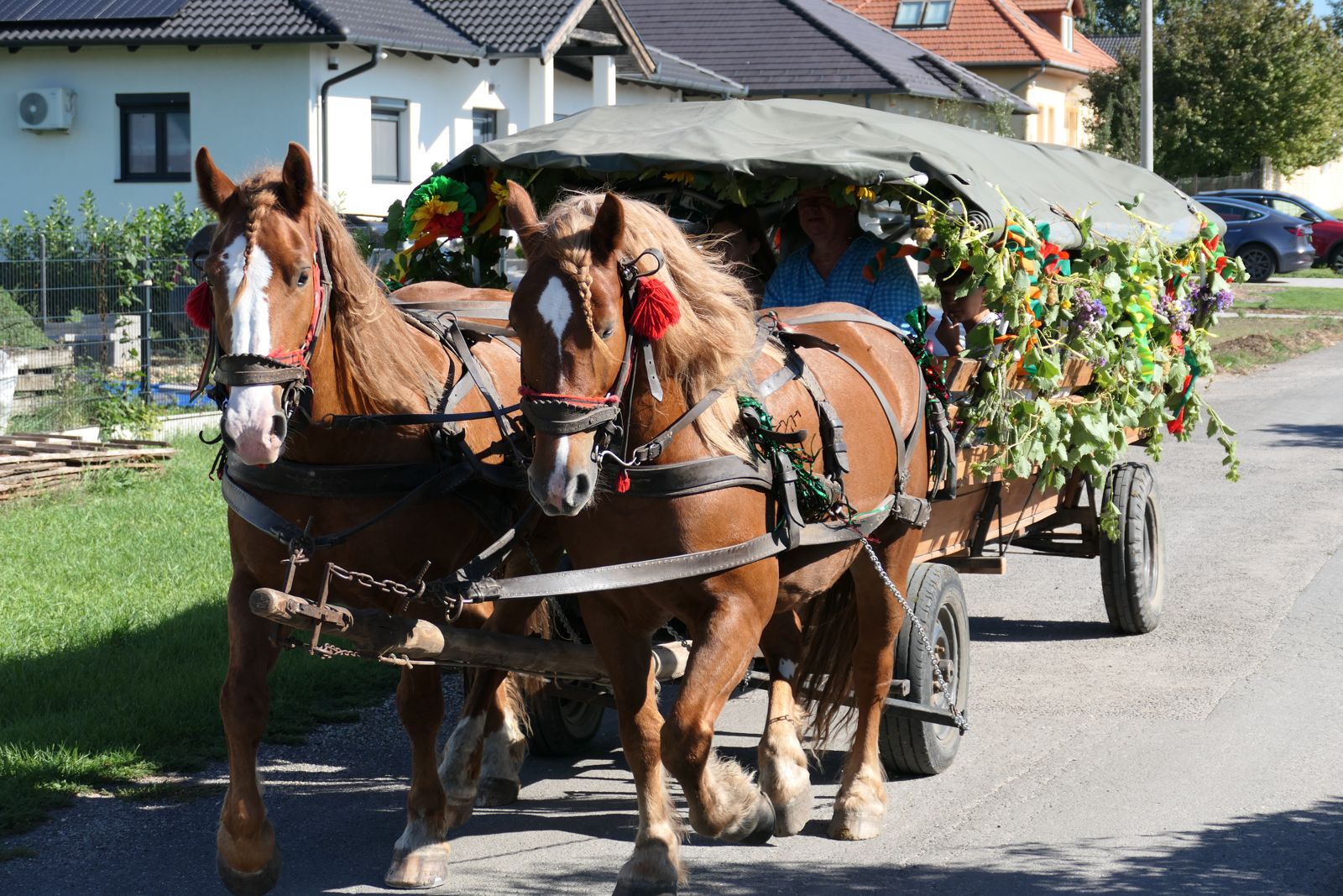 Szüreti felvonulás Etyeken (10)