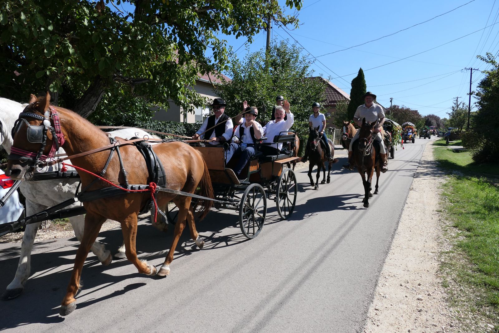 Szüreti felvonulás Etyeken (32)