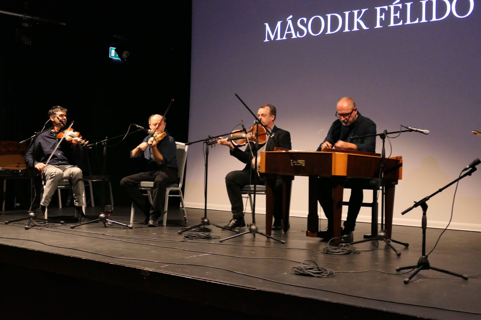 Tükrös40 koncert Bicskén (7)