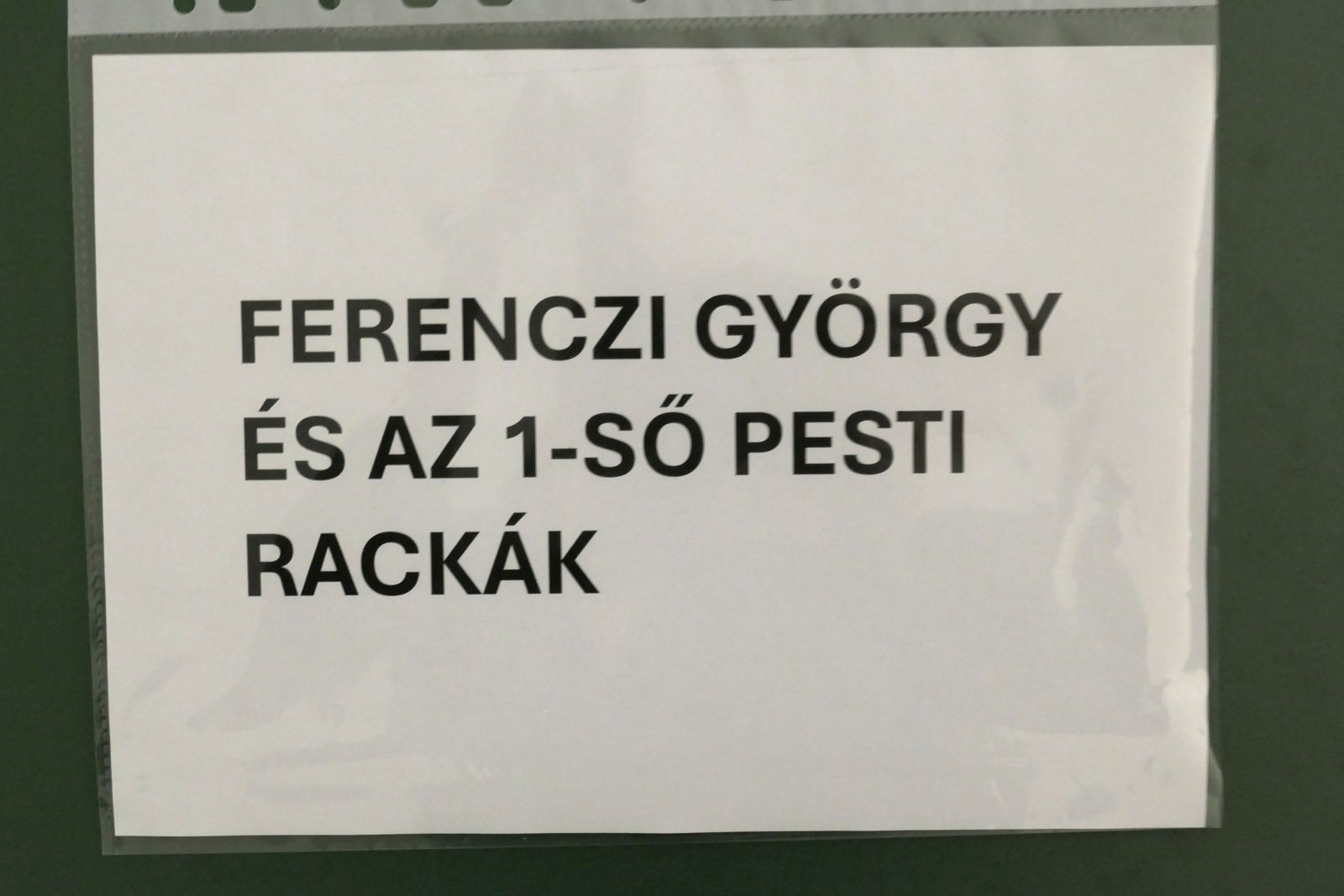 Ferenczi György és az 1-ső Pesti Rackák koncertje Bicskén (10)