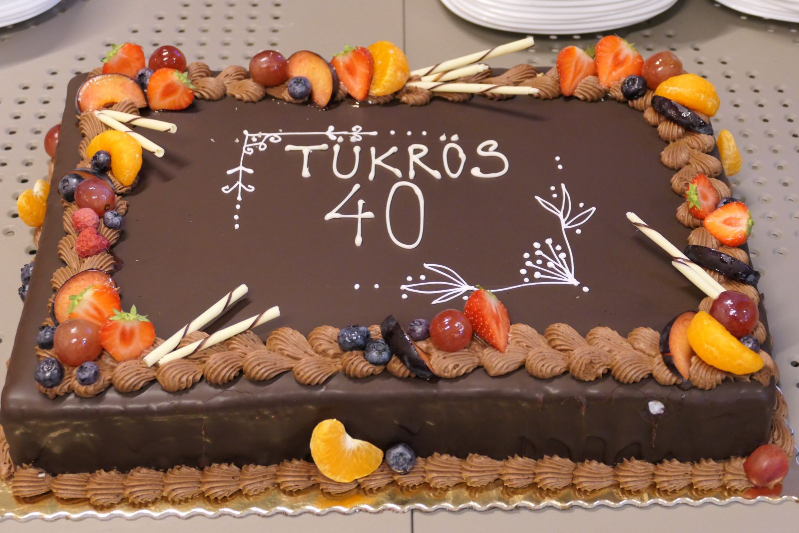 Tükrös40 koncert Bicskén (25)