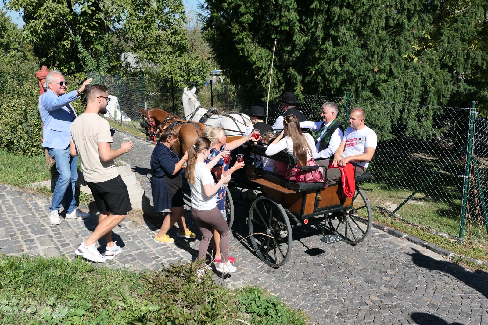 Szüreti felvonulás Etyeken (23)